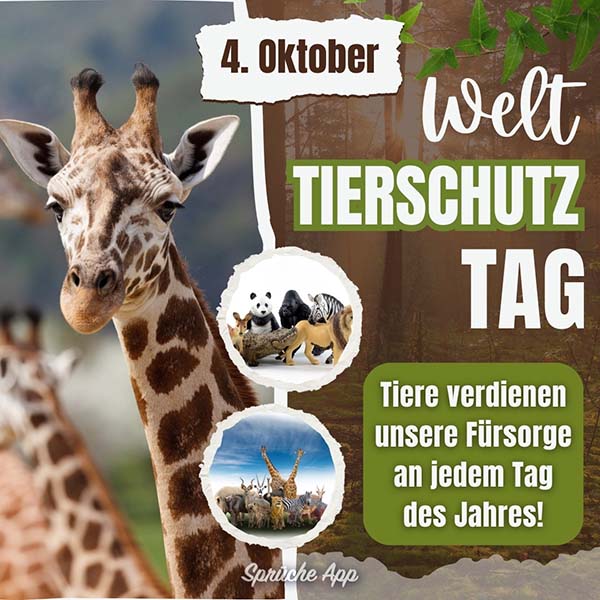 Giraffe mit Text daneben: „4. Oktober Welttierschutztag! Tiere verdienen unsere Fürsorge an jedem Tag des Jahres!"