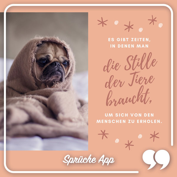 Mops, der Decke über den Kopf gezogen hat mit Spruch daneben: „Es gibt Zeiten, in denen man die Stille der Tiere braucht, um sich von den Menschen zu erholen."