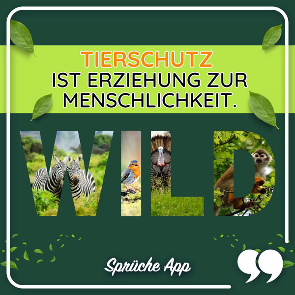 Verschiedene Tiere und der Spruch: „Tierschutz ist Erziehung zur Menschlichkeit."