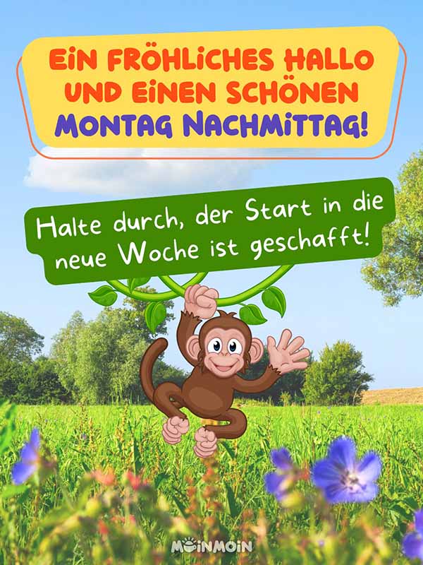 Illustrierter Affe und im Hintergrund eine Blumenwiese mit Nachmittagsgruß: „Ein fröhliches Hallo und einen schönen Montag Nachmittag! Halte durch, der Start in die neue Woche ist geschafft!“