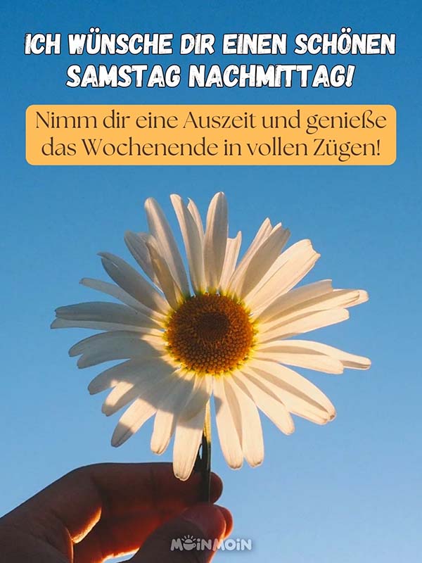 Frauenhand, die eine Blume gegen den Himmel hält mit Spruch darüber: „Ich wünsche dir einen schönen Samstag Nachmittag! Nimm dir eine Auszeit und genieße das Wochenende in vollen Zügen.“