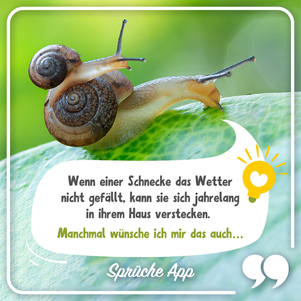 Schnecke mit kleiner Baby-Schnecke auf dem Haus und Tierfakt in Sprechblase: Wenn einer Schnecke das Wetter nicht gefällt, kann sie sich jahrelang in ihrem Haus verstecken. Manchmal wünsche ich mir das auch …