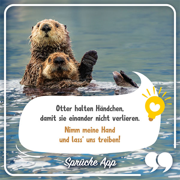 Zwei Otter, die im Wasser treiben mit Text in Sprechblase: Otter halten Händchen, damit sie einander nicht verlieren. Nimm meine Hand und lass‘ uns treiben!