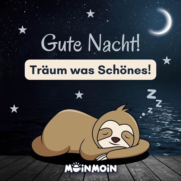 Illustriertes Faultier, dass vor einem See in der Nacht schläft darüber der Gruß: „Gute Nacht! Träum was Schönes!"