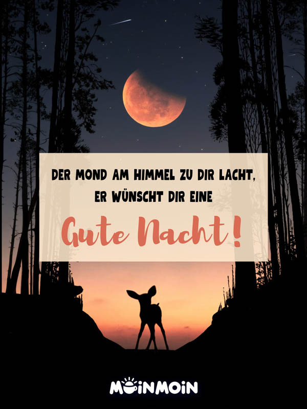 Reh, das im Wald in der Nacht unter einem leuchtenden Mond steht und dem Text: „Der Mond am Himmel zu dir lacht, er wünscht dir eine Gute Nacht!"