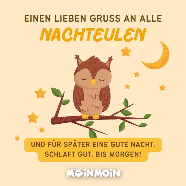 Illustrierte Eule, die auf einem Ast sitzt mit Gruß: „Einen lieben Gruß an alle Nachteulen und für später eine gute Nacht, schlaft gut, bis morgen!"