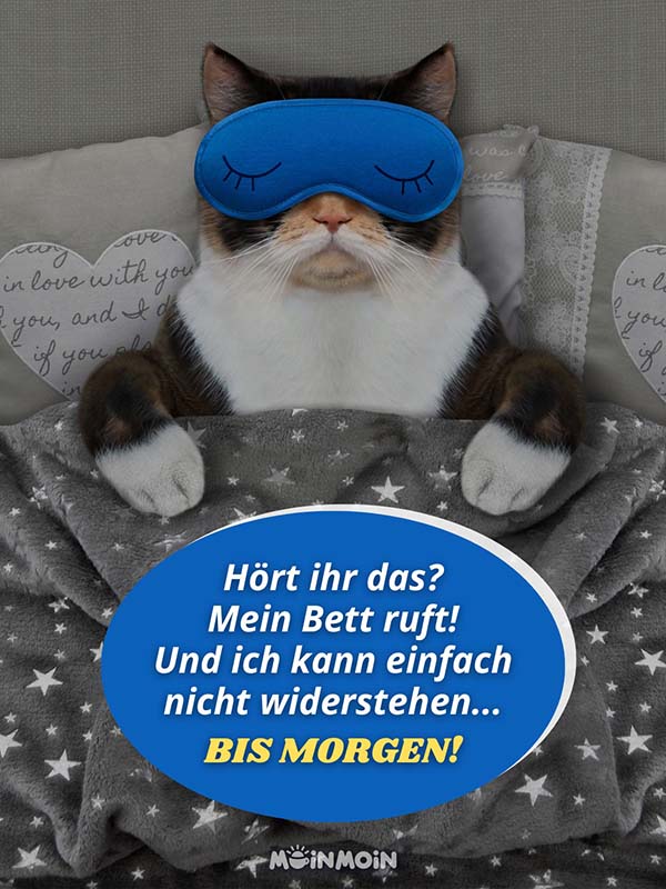 Katze mit Schlafmaske im Bett darunter der gute Nacht Spruch: „Hört ihr das? Mein Bett ruft! Und ich kann einfach nicht widerstehen... Bis morgen!“