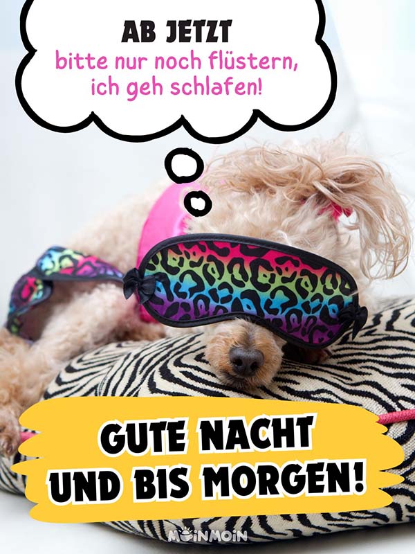 Hund mit Schlafmaske und lustigen Spruch: „Ab jetzt bitte nur noch flüstern, ich geh schlafen! Gute Nacht und bis morgen!“