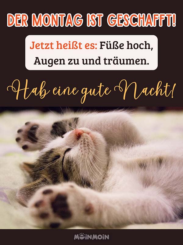 Katze, die auf dem Rücken liegt mit Grüßen: „Der Montag ist geschafft! Jetzt heißt es: Füße hoch, Augen zu und träumen. Hab eine gute Nacht!“