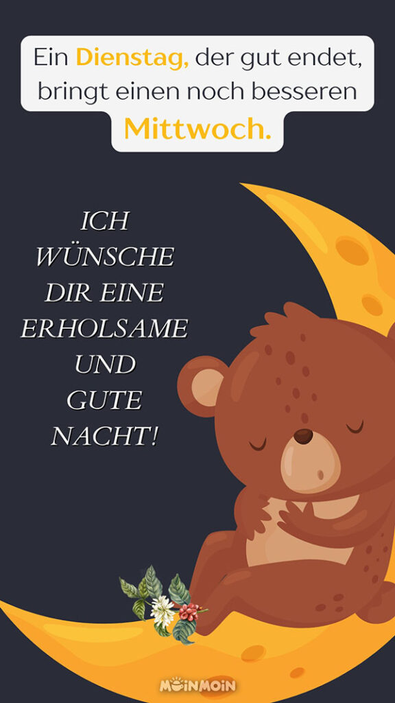 Illustrierter Teddybär, der auf einem Mond schläft mit Grüße: „Ein Dienstag, der gut endet, bringt einen noch besseren Mittwoch. Ich wünsche dir eine erholsame und gute Nacht!“